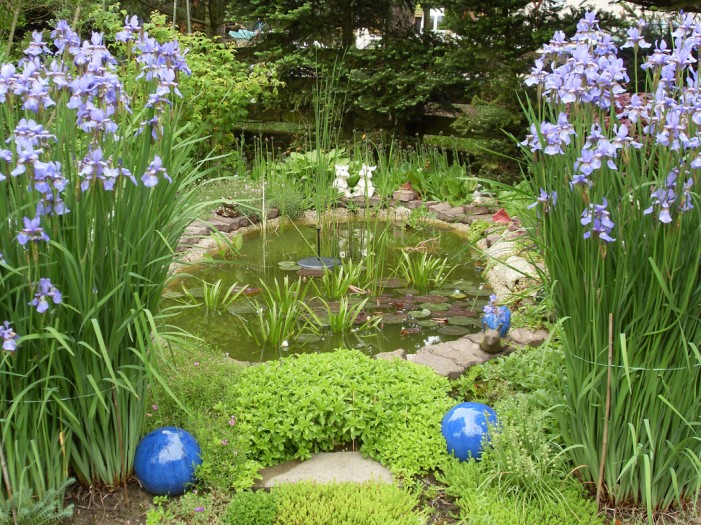 5 Tipps für April: Frühjahrsputz im Teich